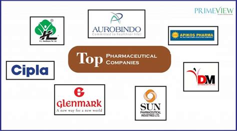 Top Pharmaceutical Companies In India You Should Know