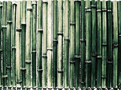 Bamboo Wall Photograph By Mtaka Pixels
