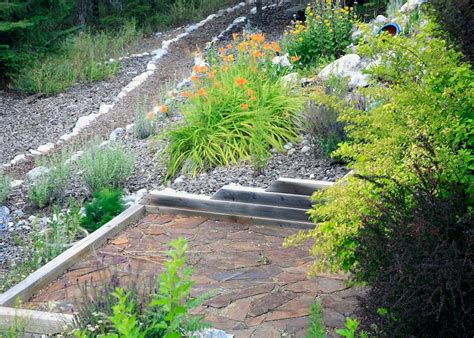 Xeriscaping Seattle Wa Xeriscaping Ideas What Is Xeriscaping