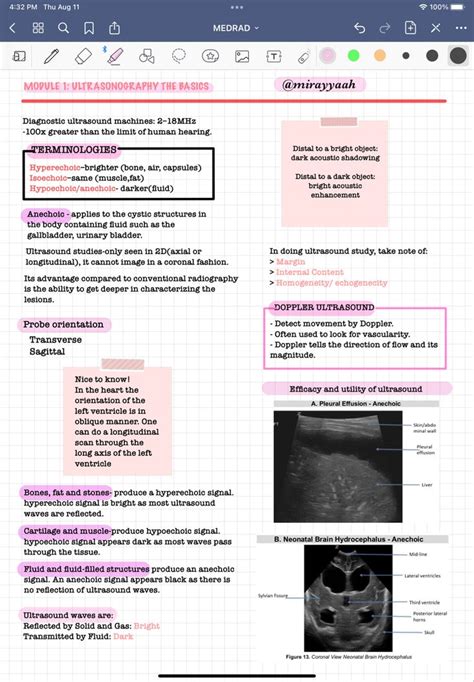 Radiology Notesultrasonography Basicsmed Student Medicine Notes