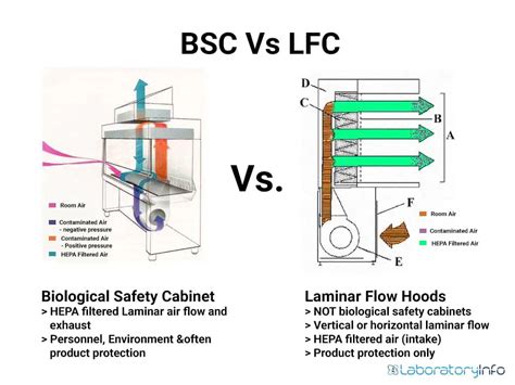 Laminar Flow Hood Vs Biological Safety Cabinet Resnooze