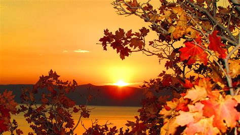 Autumn Sunrise Photograph By Carol Ann Dyer Fine Art America