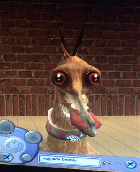 Sims 4 Pets is pretty great but I'm disappointed you can't make dogs