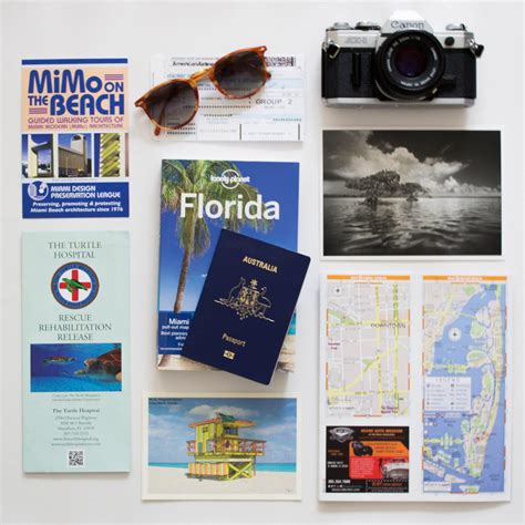 Top 5 Must Have Experiences In The Everglades The Wandering Suitcase