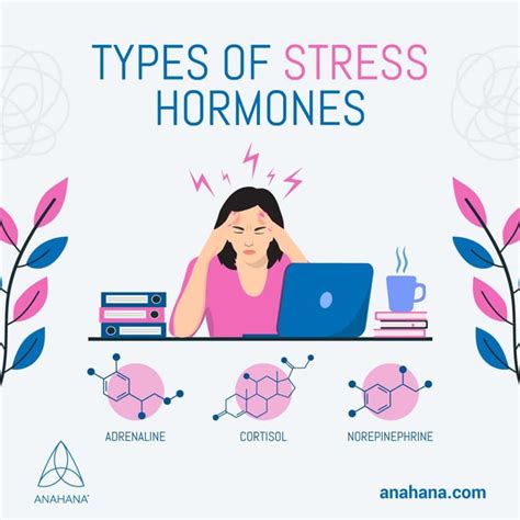 Stress Hormones Names Definition Symptoms Cortisol Adrenaline