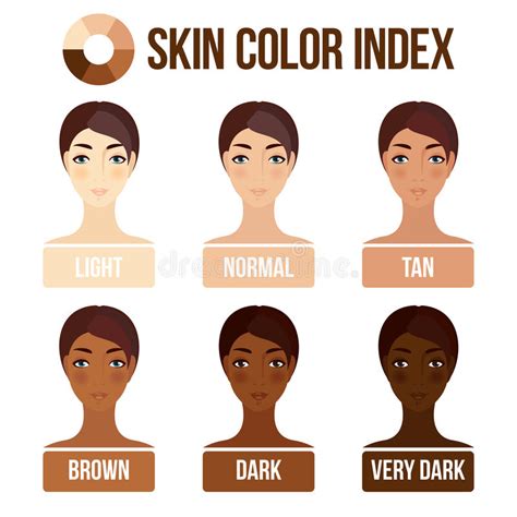 Skin Color Index Stock Vector Illustration Of Girl Color