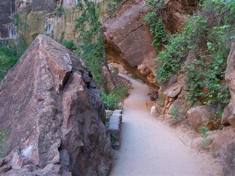 Riverside Walk Zion National Park All You Need To Know Before You