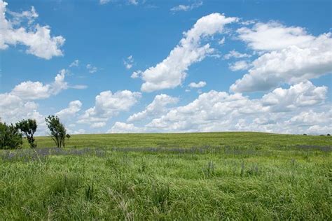 Tallgrass Prairie Oklahoma All You Need To Know Before You Go With