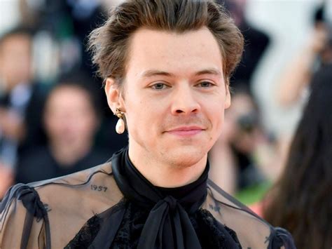 Everything Harry Styles Has Said About His Sexuality And Gender Fluid
