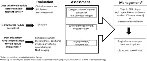 Thyroid Nodule Evaluation And Management In Older Adults A Review Of