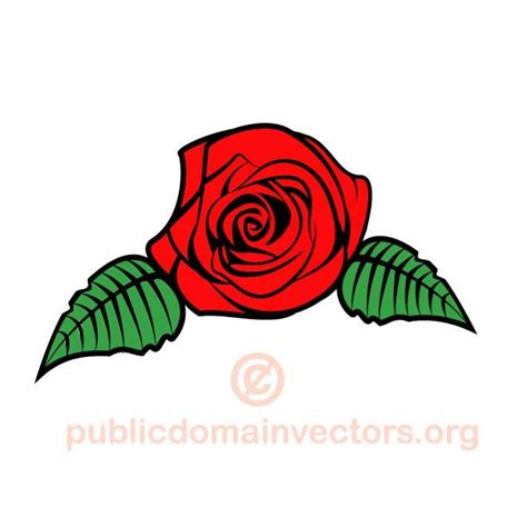 Rose Graphics Royalty Free Stock Vector Clip Art
