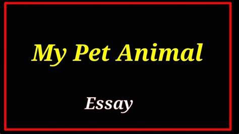 My Pet Animal My Pet Animal Essay Essay On My Pet Animal Youtube