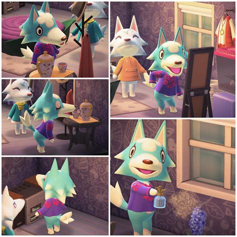 Skye Visiting Whitneys House Is My New Favorite Thing Animalcrossing