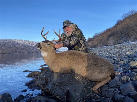 Sitka Blacktail Deer Season Sucess Larsen Bay Lodge