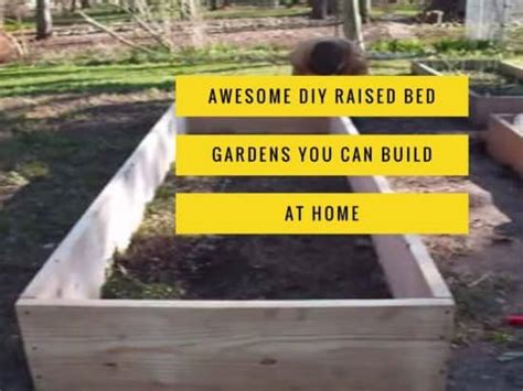 Best Diy Raised Bed Garden Plans Gardening Channel