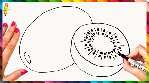 How To Draw A Kiwi Images And Photos Finder