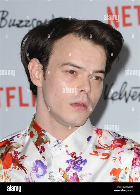 Los Angeles Ca Usa Th Jan Charlie Heaton At Arrivals For Velvet Buzzsaw Premiere