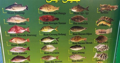 Jenis Jenis Ikan Laut Indonesia Sekarang Imagesee
