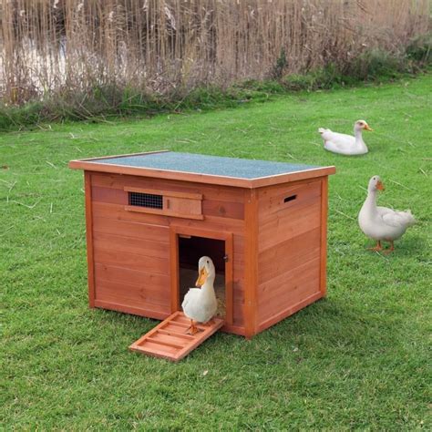 Trixie Natura Duck Coop 55955 The Home Depot Duck Coop Duck House