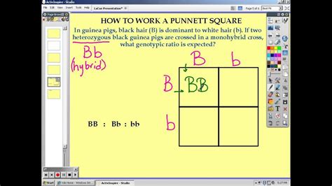 Want to use it to buy something? How to Work a Punnett Square - YouTube