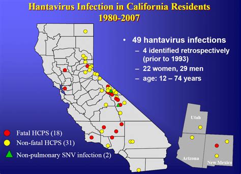 Viral pulmonary disease of humans. Hantavirus Pulmonary Syndrome In California - Symptoms ...