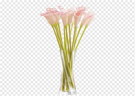 Flor de pétalo blanca en florero de vidrio transparente florero de