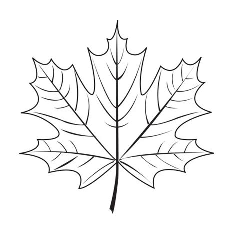 In this beginners level tutorial, you will learn how to create a vibrant 3d leaf compilation from a single 2d photograph. Maple Leaf - The 3Doodler EDU