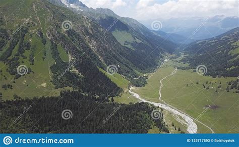 Beautiful Green Mountain Landscape With Trees Top View Of Forest On