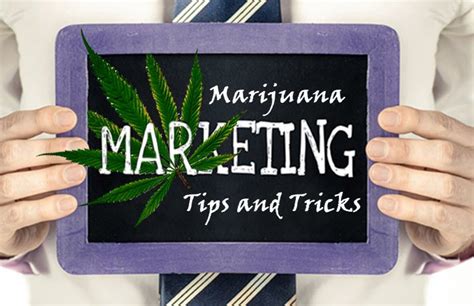 Tips On Crafting Your Brands Cannabis Story