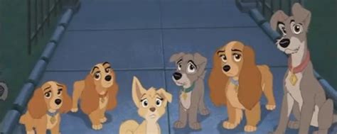 Lady And The Tramp Ii Scamp S Adventure 2001 Movie Voice Credits Behind The Voice Actors