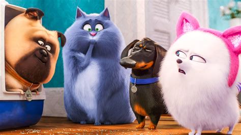 The original secret life of pets from 2016 was similarly slight but consistently amusing. THE SECRET LIFE OF PETS 2 - 7 Minute Trailer (2019) - YouTube
