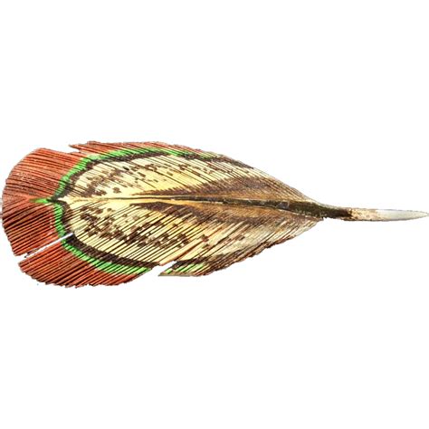 Hand Painted Whittled Wood Figural Feather Pin | Hand painted, Feather wings, Feather