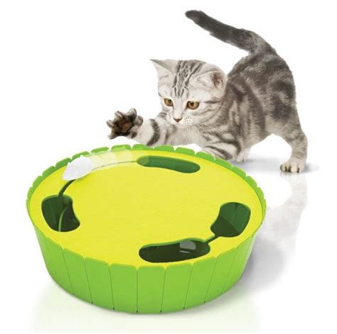 5 Electronic Cat Toys That Will Drive Your Kitty Crazy June 2017