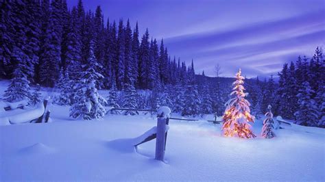 Winter Forest Christmas Wallpapers Wallpaper Cave