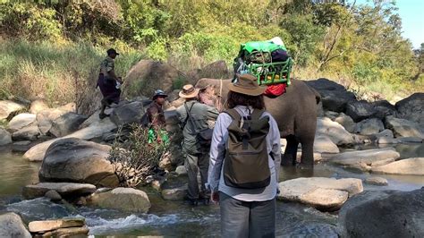 Wildlife Adventure Travel In Myanmar Burma Youtube