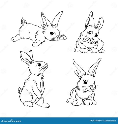 Cute Hand Draw Rabbit In Different Poses Set Of Illustrations Of Bunny