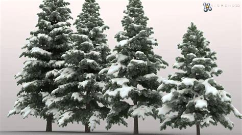 High Poly Snowy Pine Trees 3d Model From