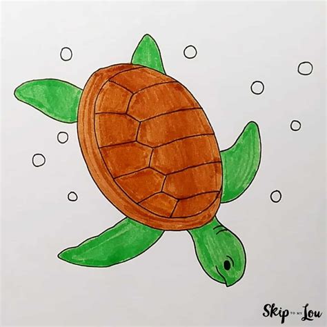 Sea Turtle Drawing Tutorial