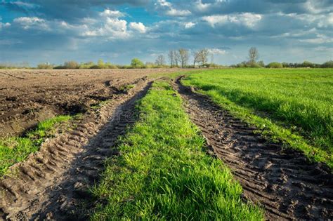 Dirt Road In The Field And Clouds In The Sky Stock Photo Image Of