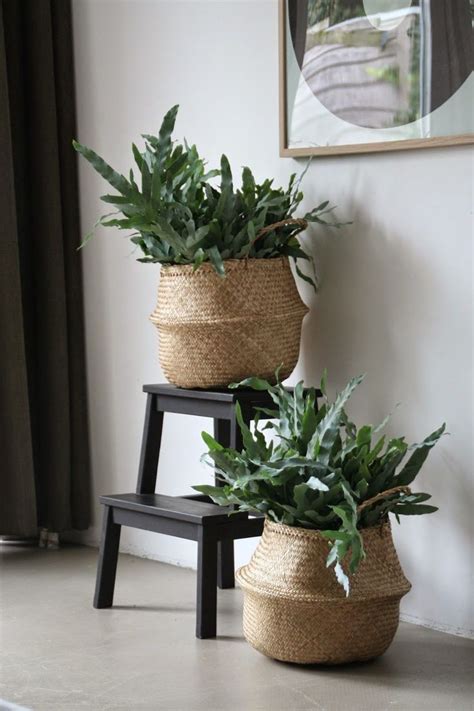 I hope you can find something that the fladis wicker basket is one of my favorite ikea products and is so versatile, it can be used to hack a plant pot, laundry basket, toy storage… and. Ikea Fladis Basket in 2020 | Interior plants, Home decor ...