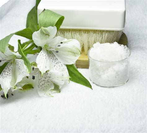 Spa Brush And Soap Free Stock Photo Public Domain Pictures