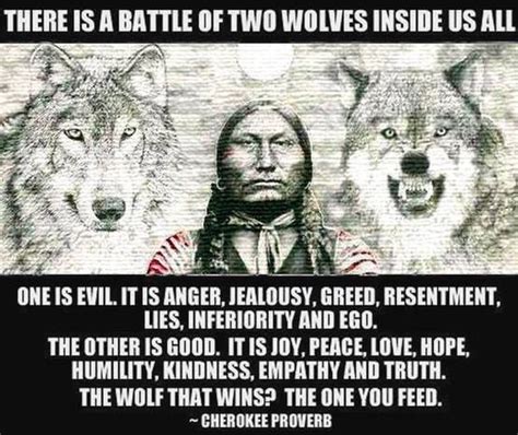 The Battle Of Two Wolves Two Wolves Native American Quotes Indian