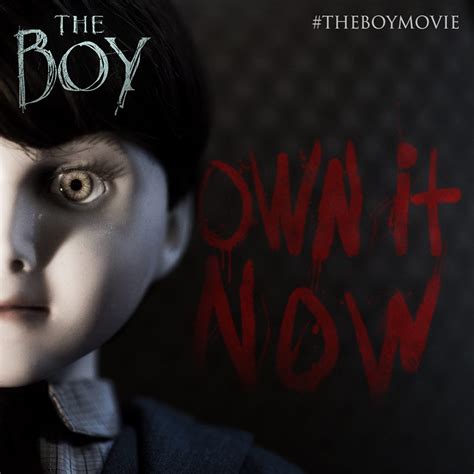 The Boy 2016 More A Thriller Than A Horror Cinecelluloid