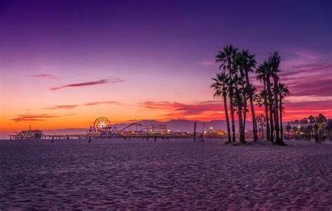 Los Angeles Palm Trees Wallpapers Top Free Los Angeles Palm Trees