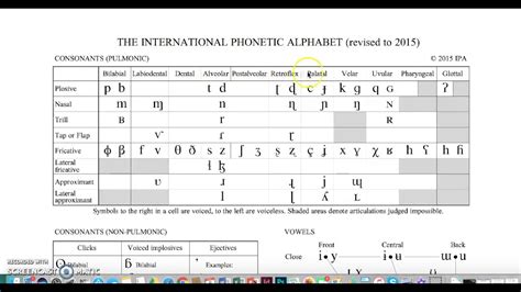 Ipa Consonant Chart English A Visual Reference Of Charts Chart Master