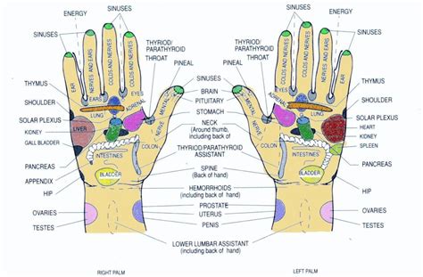 Hand Reflexology Meridians Hand Reflexology Reflexology Massage