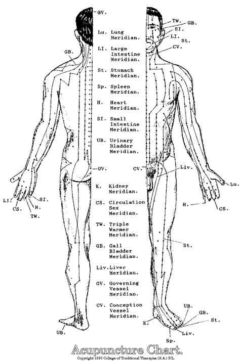 Meridians Acupuncture Charts Acupuncture Points Tcm Traditional