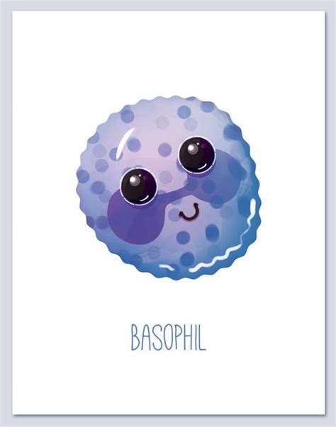 Basophil White Blood Cells Wall Art Print Biology Cute