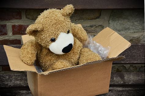 Royalty Free Photo Brown Bear Plush Toy In Box Pickpik
