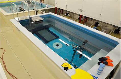 Download files and build them with your 3d printer, laser cutter, or cnc. Commercial Endless Pool in 2020 | Endless pool, Swimming ...